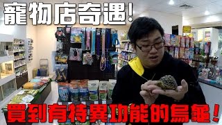 【Joeman FFBE】在寵物店買到有特異功能的巨型烏龜！？ 