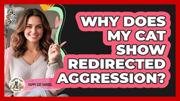 Why Does My Cat Show Redirected Aggression?