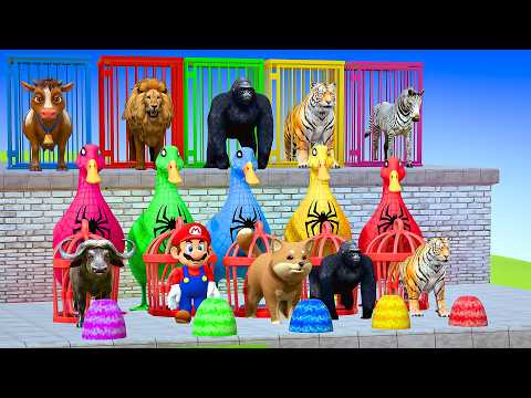 Long Slide Game with Colourful Duck Cow Tiger Gorilla Dog Elephant 3d Animal Game Funny 3d Animals