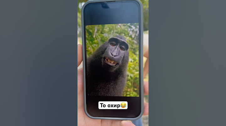 😂😂😂 #душанбе #rek #жизнь #прикол #таджикистан #ханда