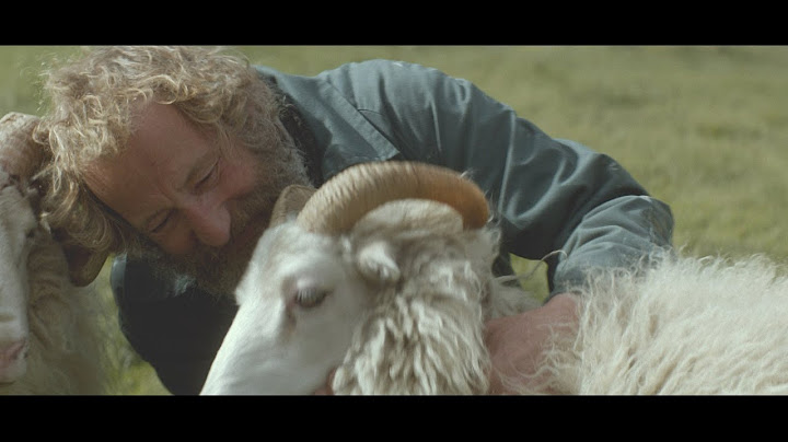 『ひつじ村の兄弟』映画オリジナル予告編