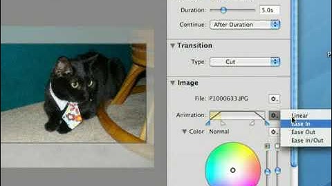FotoMagico Tutorial: Image Options