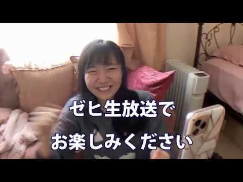 ぶぅちゃん - YouTube