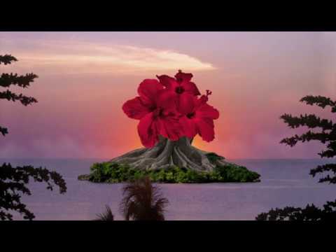 Guarda Zara McFarlane - Everything Is Connected su YouTube Guarda Zara McFarlane - Everything Is Connected su YouTube