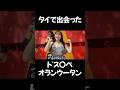 タイのオランウータンはドス〇ベでした #タイ #サファリ #オランウータン