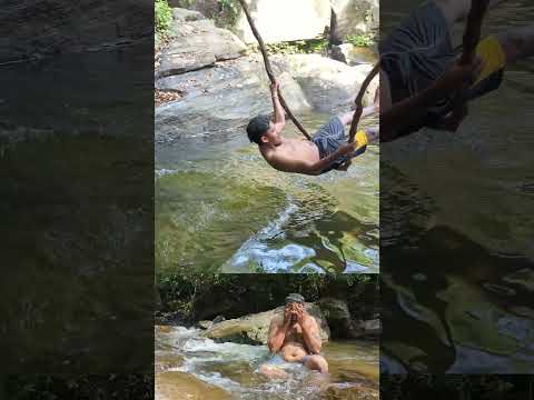 කැලේ අයිති අලින්ටයි