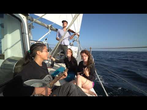 Waves Endless Gray - an Ocean Research Project sea shanty