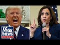 Trump torches Kamala Harris calling her a 'liar' during press conference