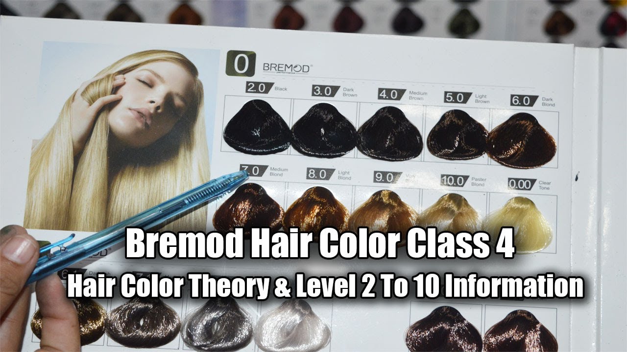 Bremod Hair Color Theory and Level 2 To 10 Information Class 4