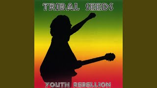 Video thumbnail of "Tribal Seeds - Rider (Original)"
