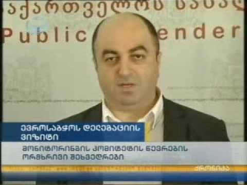 სახალხო დამცველის შეხვედრა ევროსაბჭოს მონიტორინგის წევრებთან 14 01 2014   იმედი   ქრონიკა 11 00