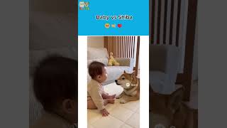 3 Moments That Will Melt Your Heart #catshorts
