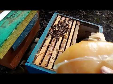 Допомога слабкій по силі сім'ї в кінці зими