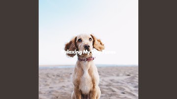 Background for Limitless Overtones