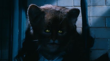 Hermione Transforms into a cat [HDR 4K] Harry Potter and the Chamber of Secrets