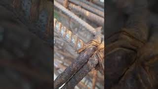 F Geyya Ye.. Baby Dog. Dog Lover