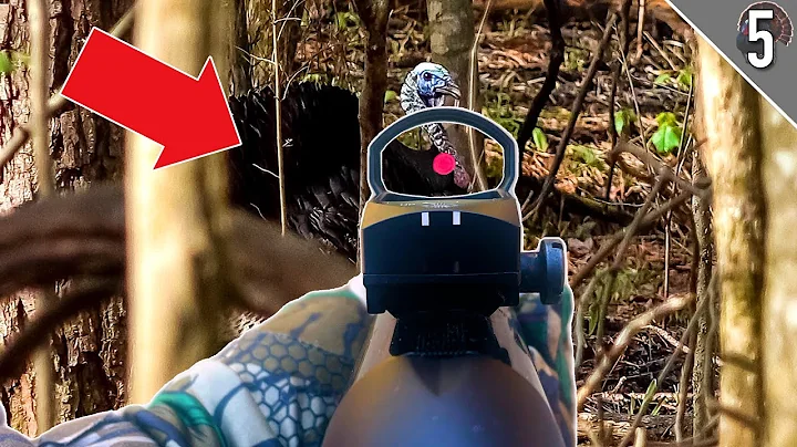 LONGBEARD in our SIGHTS!! - (Turkeys RUNNING to th...
