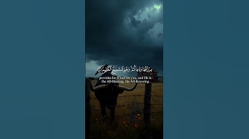 الَّذِينَ صَبَرُوا وَعَلَىٰ رَبِّهِمْ يَتَوَكَّلُونَ (سورة العنكبوت الآية 59)