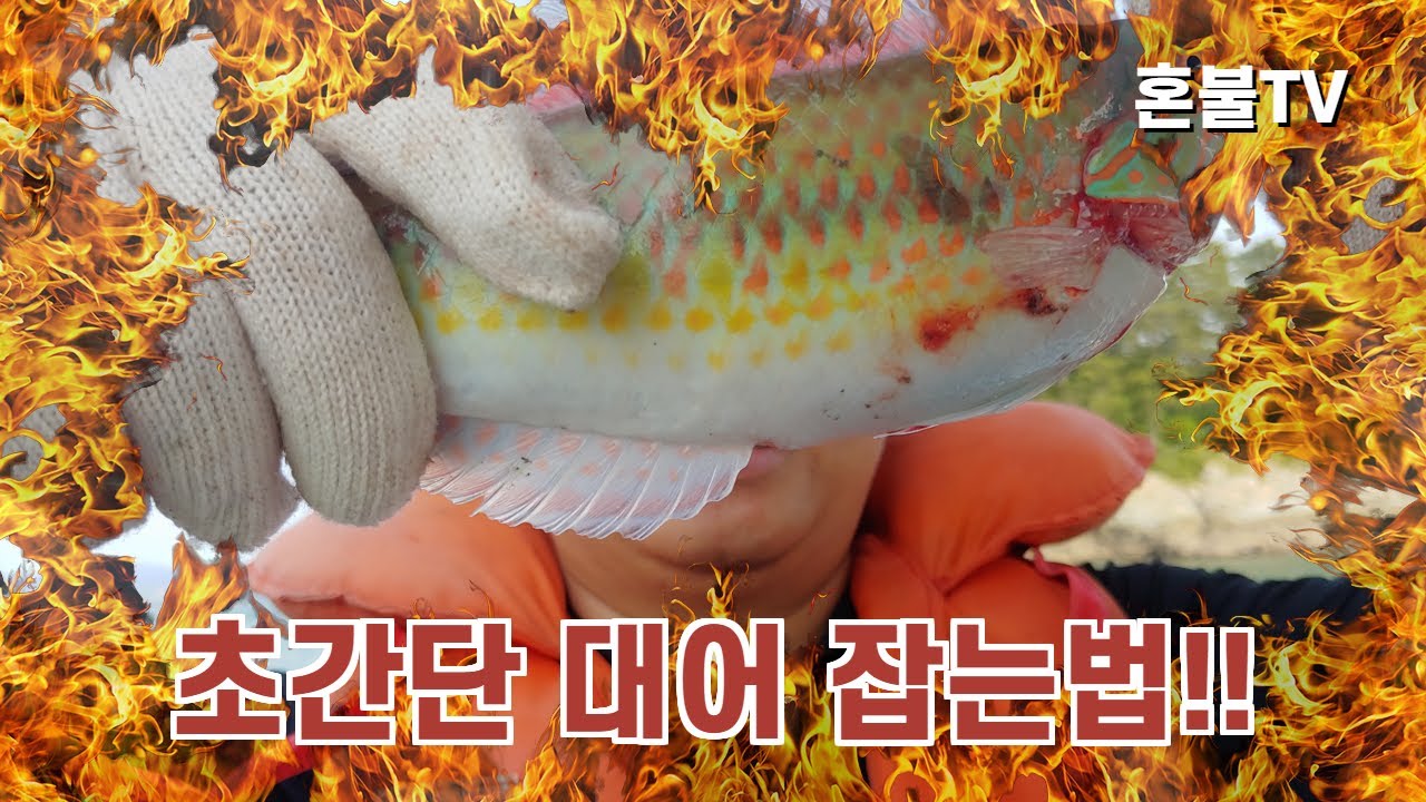 [혼불마을] 초간단 대어 대물 잡는법 - YouTube