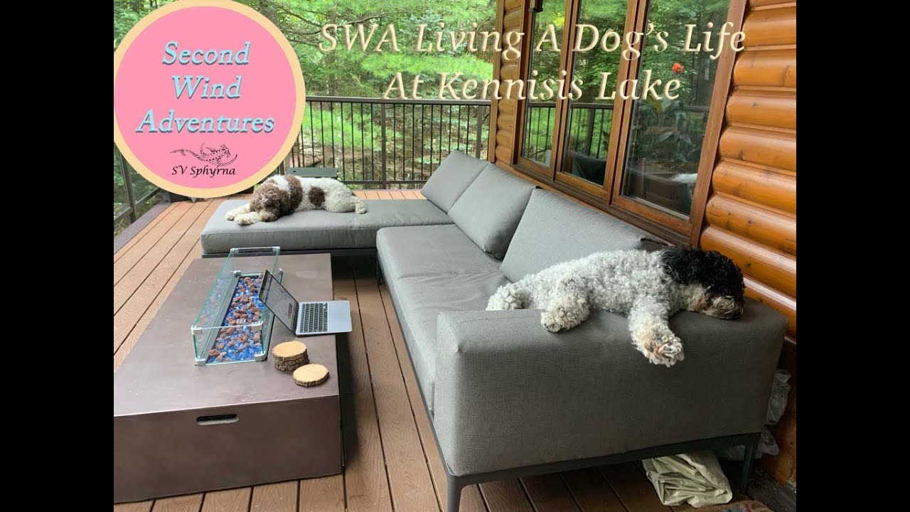 E19 - Living a Dog's Life at Kennisis Lake
