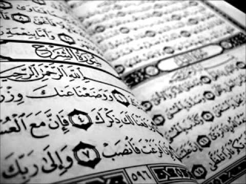 سورة المنافقون علي جابر 