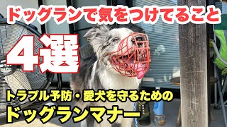 【必見】愛犬を守るためのドッグランマナー by サスケん家 1,100 views 6 days ago 8 minutes, 6 seconds