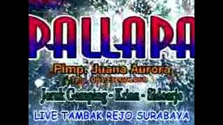 TAKKAN PISAH _ NEW PALLAPA LIVE TERBARU _ DIAN NIRMALA ( COVER )