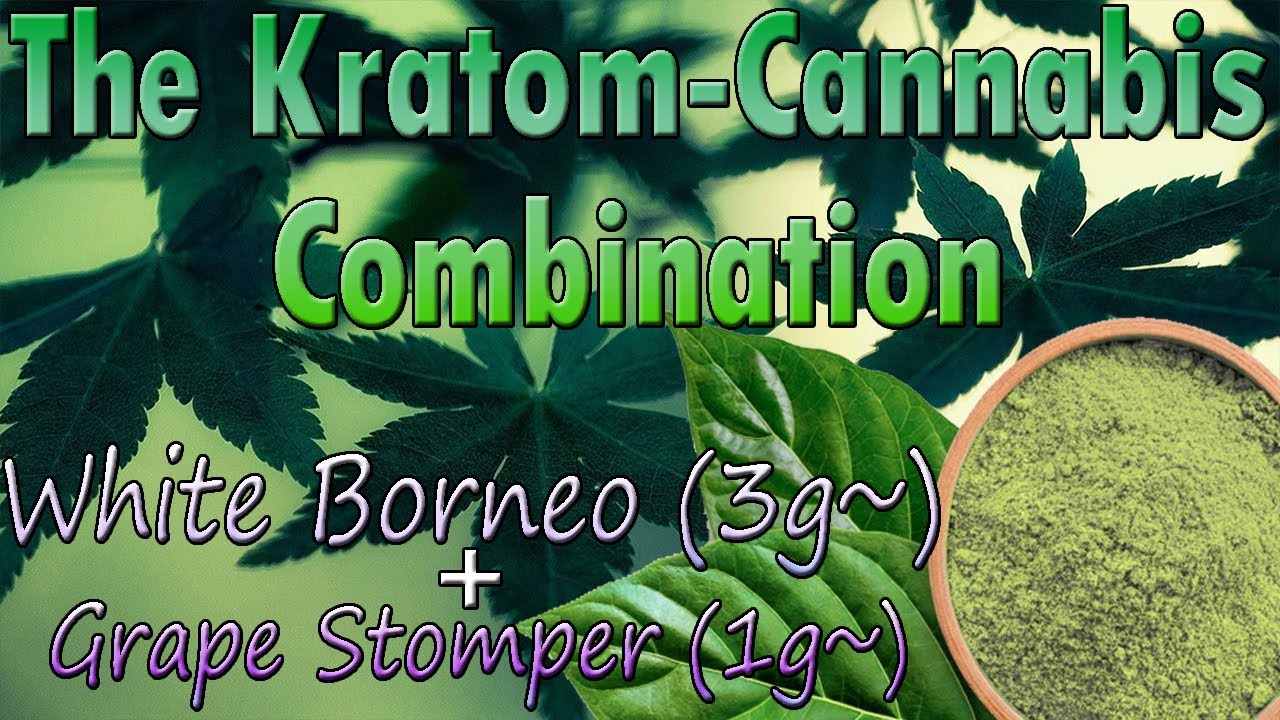 How's Kratom With Cannabis? - White Borneo