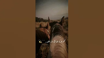 لئن لم نلتقي في الأرض يوما اناشيد بدون موسيقي اناشيد 