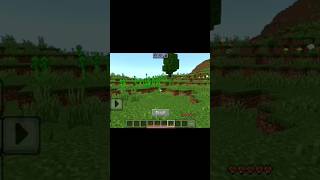 Minecraft in fastest pig🚀🔥#shorts#ytshorts#crash server