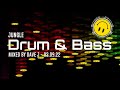 Reggae  jungle drum and bass mixed by dave j  030922