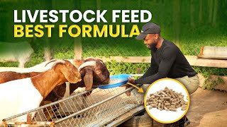 HOW TO MAKE THE BEST FEED FOR YOUR GOATS AS A FARMER IN AFRICA| Goat Feeding Formula