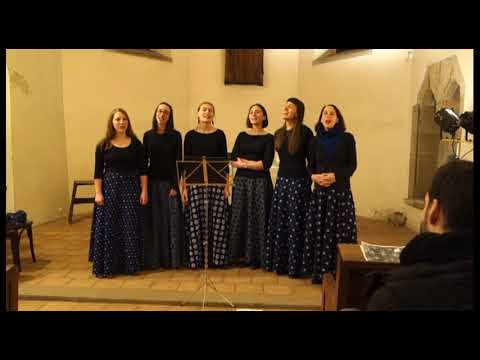 HAERI - გოგუშიკა - Gogushika