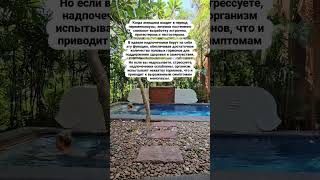 Почему многие женщины чувствуют себя в перименопаузу плохо.