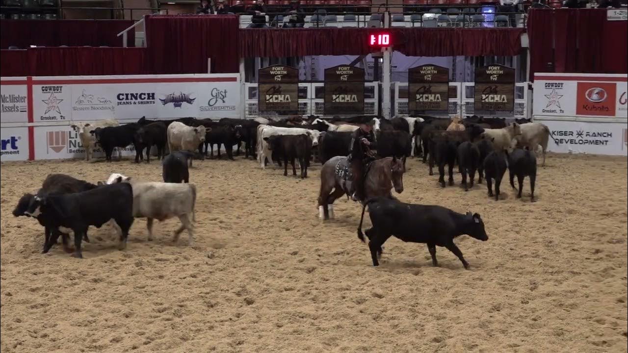 Third Edge & Wesley Galyean mark a HUGE 229 in NCHA Super Stakes YouTube