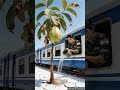 Lady Soldier saved the guava tree from drying up by watering it #ai #plants#save #watering