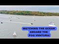 MINDFUL NORTH SEA WATCHING ABOARD THE P&amp;O VENTURA. MAY 2024