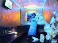 三浦祐太朗/絶体絶命【うたスキ動画】