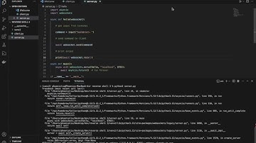Python reverse shell (no payload)