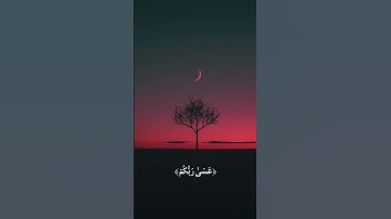 #قرآن  #القرآن_الكريم #ماهر_المعيقلي سورة التحريم (8) لا حول ولا قوة إلا بالله مداد كلماته