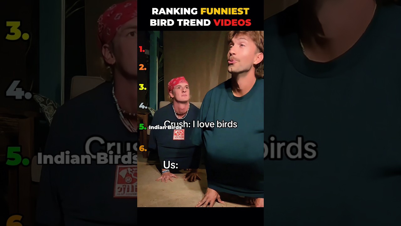 Ranking best bird trend videos 😂