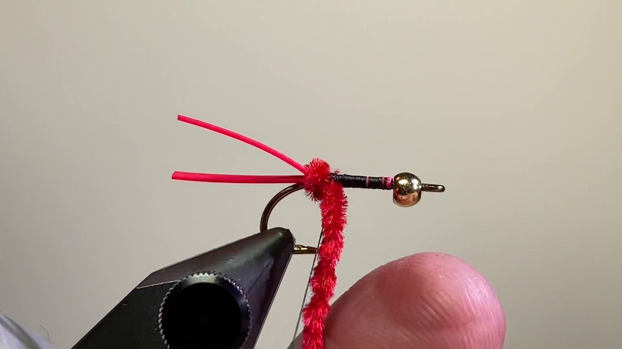 Tying a Red Rubber Monkey Butt fly 