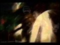 Capture de la vidéo Loteria Cantada Lila Downs  2006