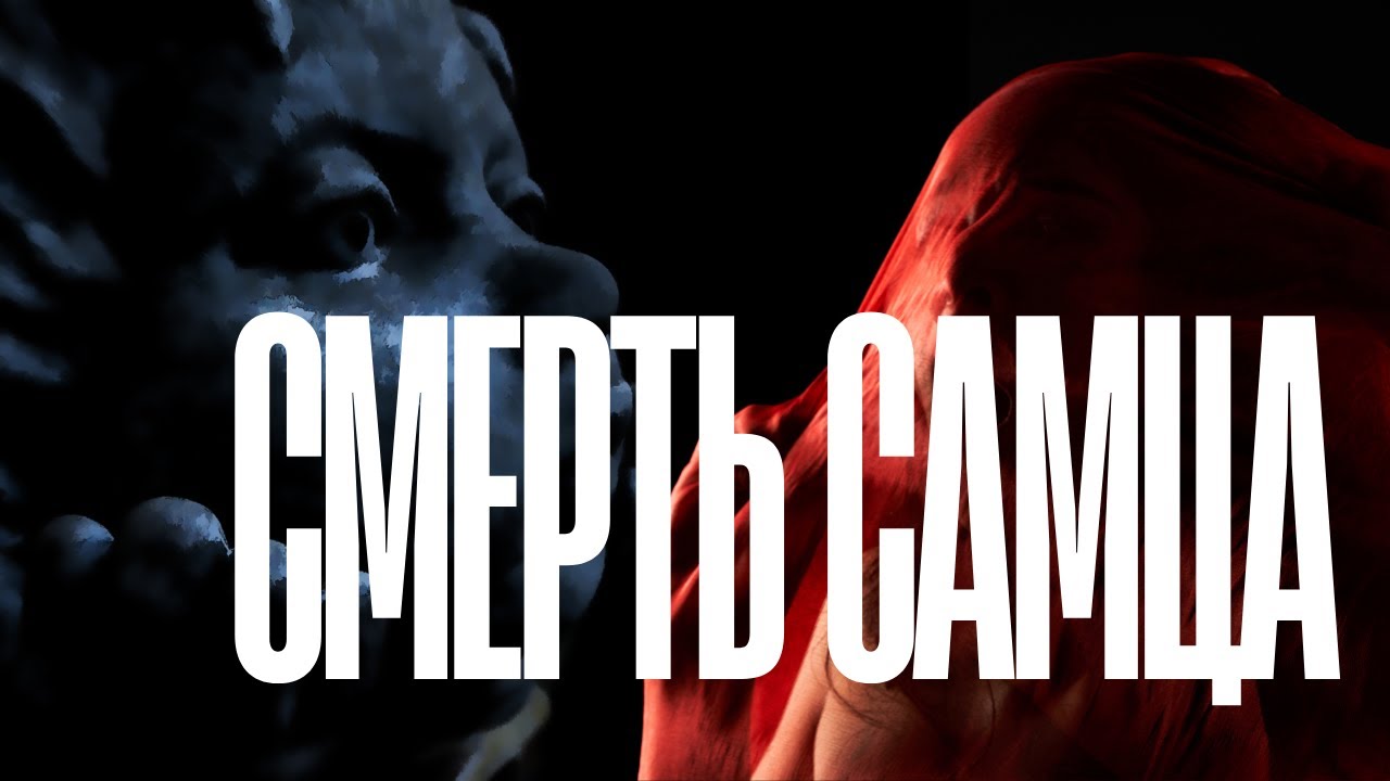 Когда у мужчин наступает половая смерть? Что такое смерть самца, Блекпил и Луксмаксинг  не помогут