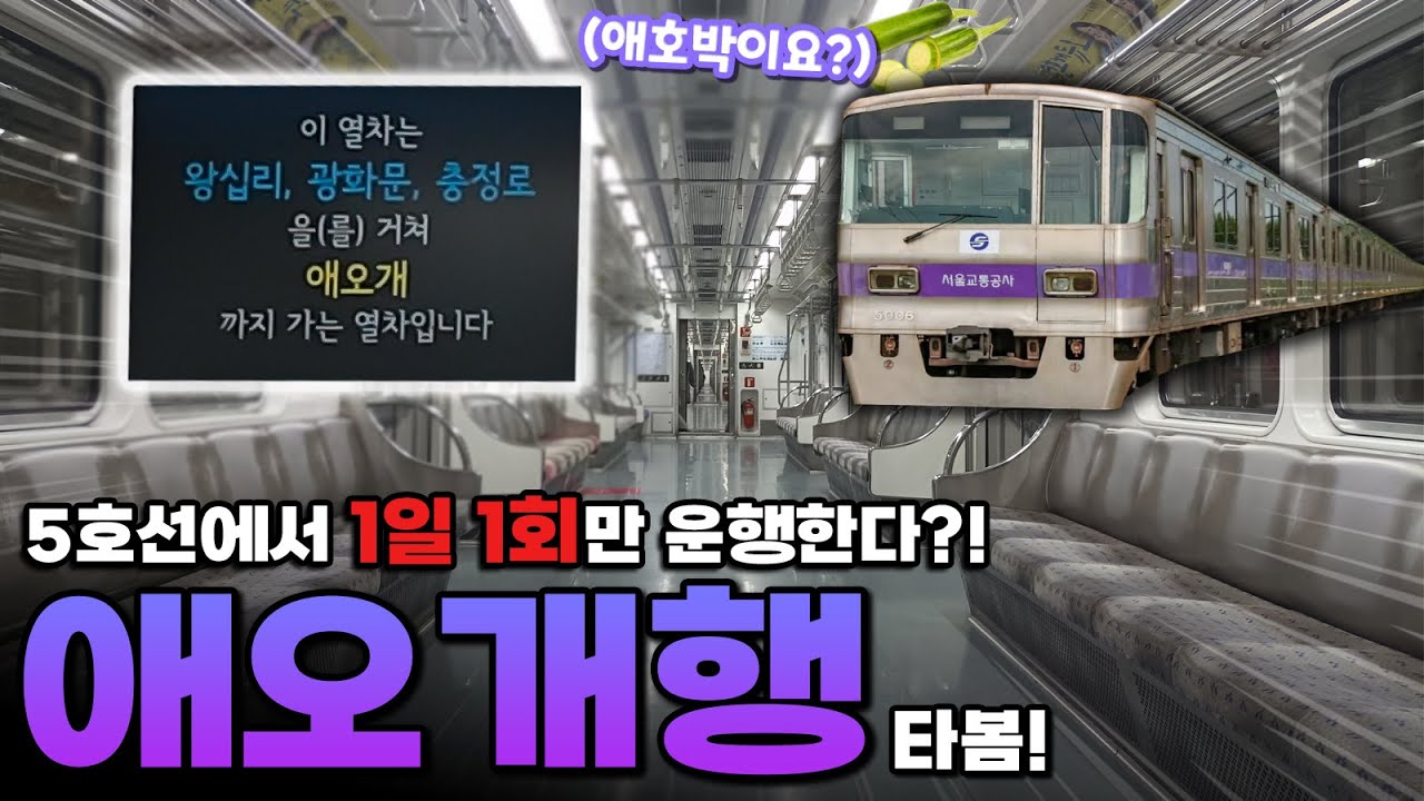 주말·공휴일 한정에다 하루에 1번만 운행한다?! 5호선 마천발 애오개행 막차 탑승기