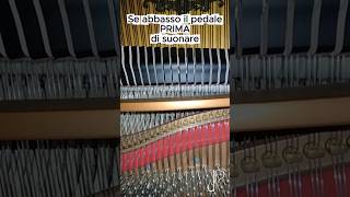 Ecco cosa succede nel pianoforte quando uso il pedale tonale 🎶🎹
