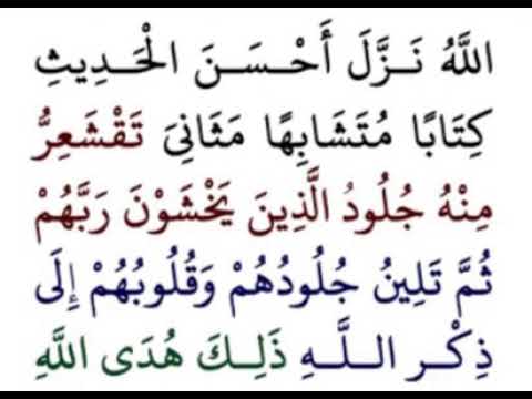 الله نزل أحسن الحديث كتابا متشابها مثاني تقشعر منه جلود الذين يحشون ربهم سورة الزمر مشاري العفاسي