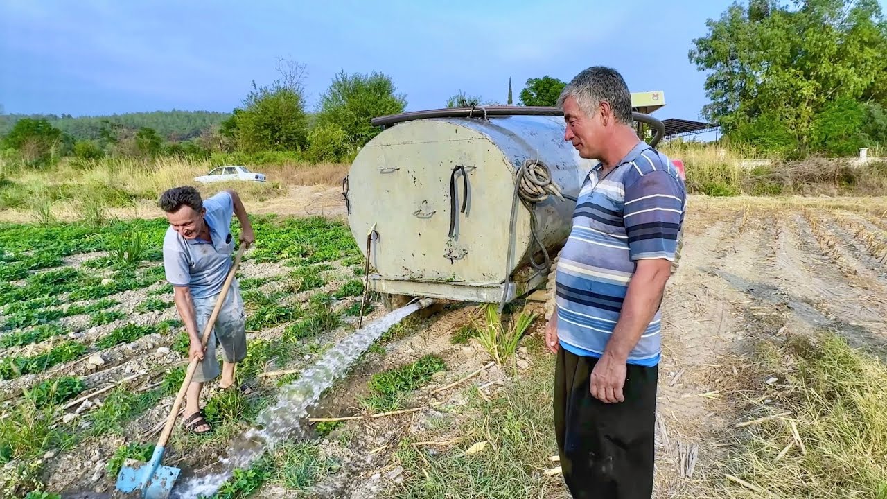 Dere Kuruyunca Tankerle Suladılar Yerfıstığını !