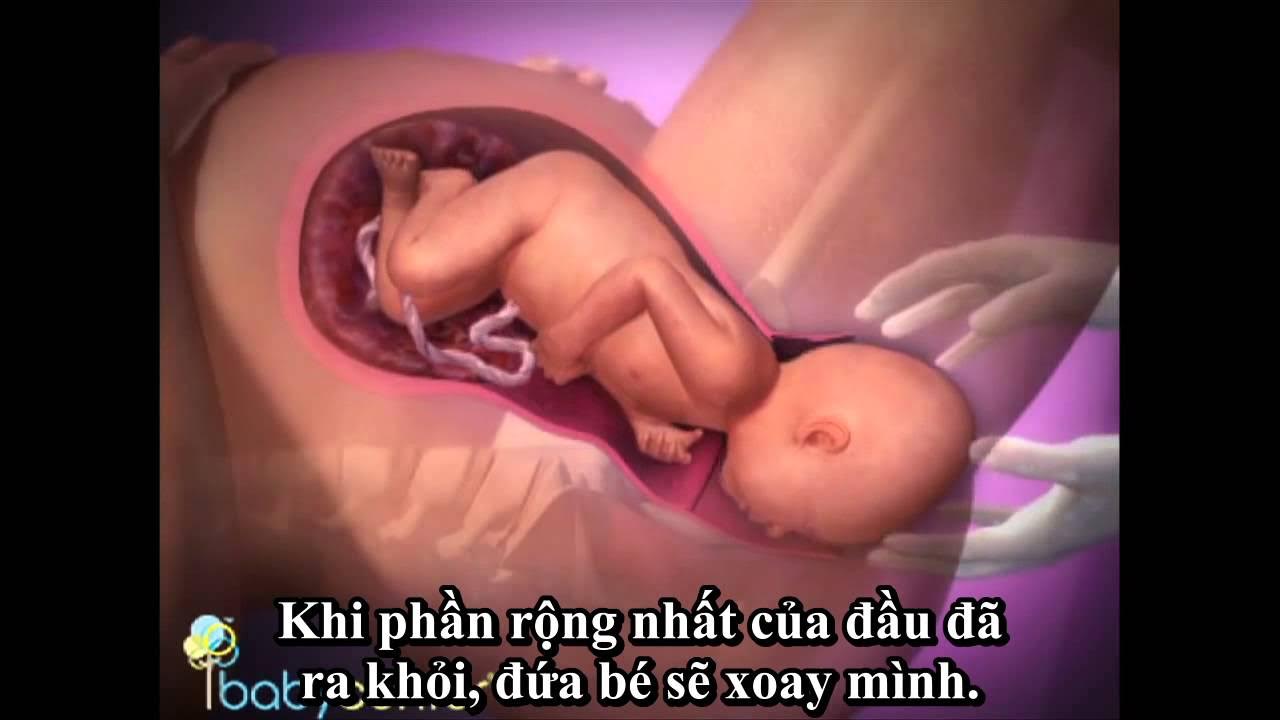 Как часто шевелится ребенок на 23 неделе. Размер ребенка на 24 неделе беременности. Ребёнок в 19 недель беременности. Как часто шевелится ребенок на 23 неделе. 39 я неделя беременности.