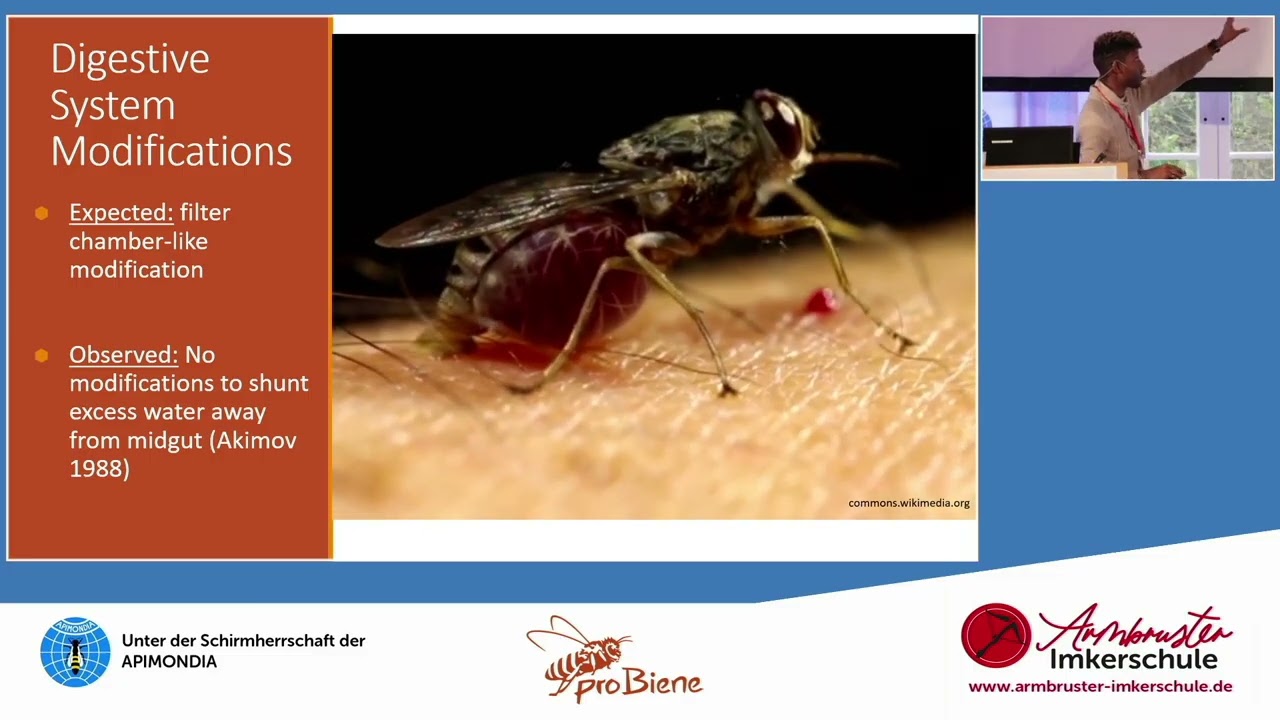 Samuel Ramsey - Varroa does not feed on hemolymph but on the fat body of the bees